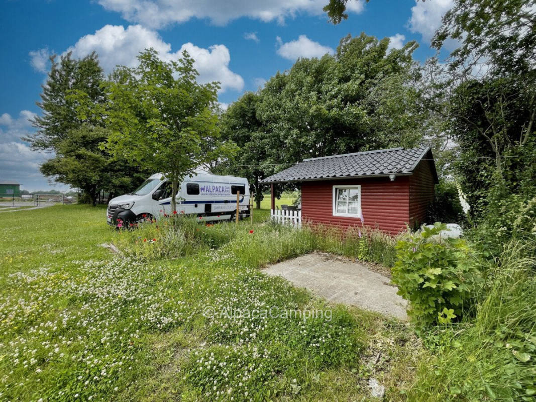 AlpacaCamping 978