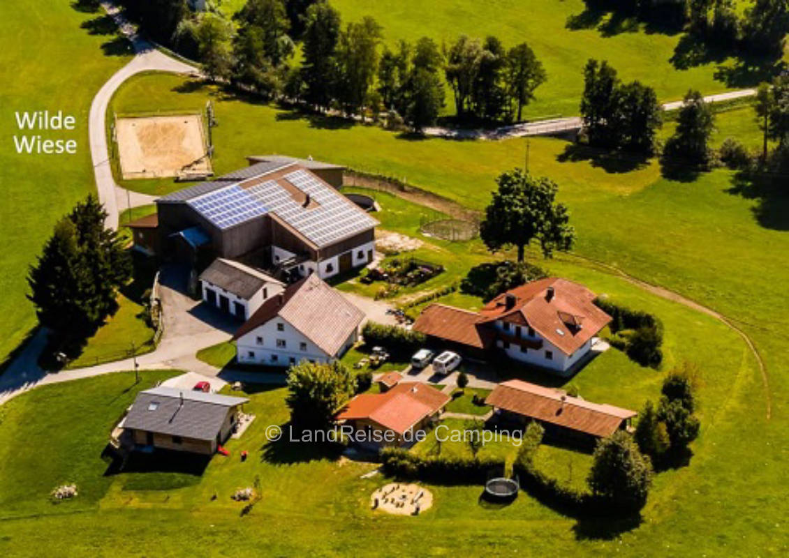 Wild meadow on the Rohrhof 1