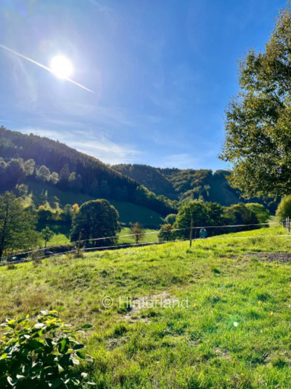 Nature pitch at the Kamp in Hochsauerland