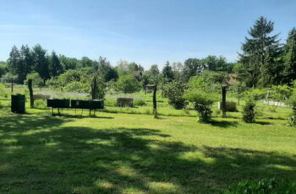Camping at the beekeeper's at Immenhoefchen,
