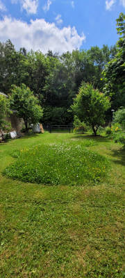 Platz im grunen selketal