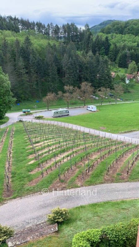 Ruhiger Platz unterhalb eines Weingutes in Durbach, privater Stellplatz