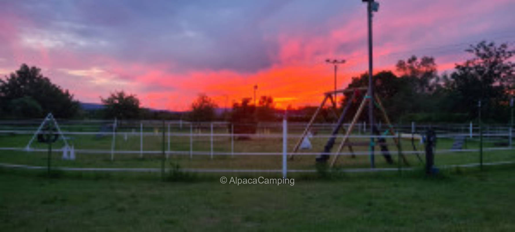 Stellplatz bei Neustadt an der Weinstraße #6