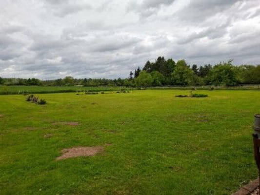 Garden pitch with terrace in the North Eifel