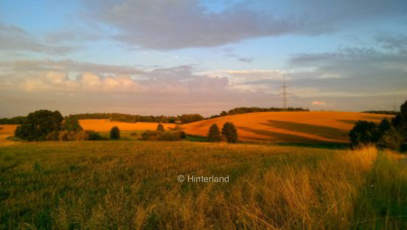 Garten des Entenfischs