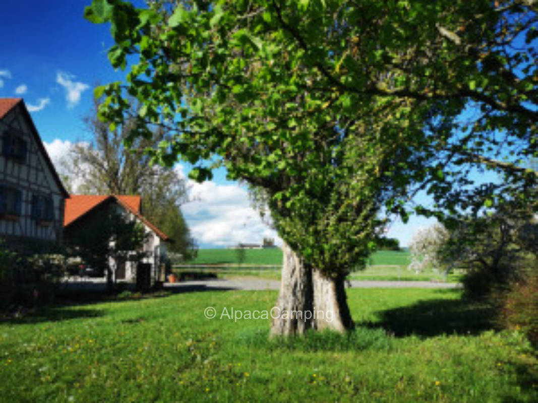 Sleep and more in a dreamlike scenery at the Nassach #1