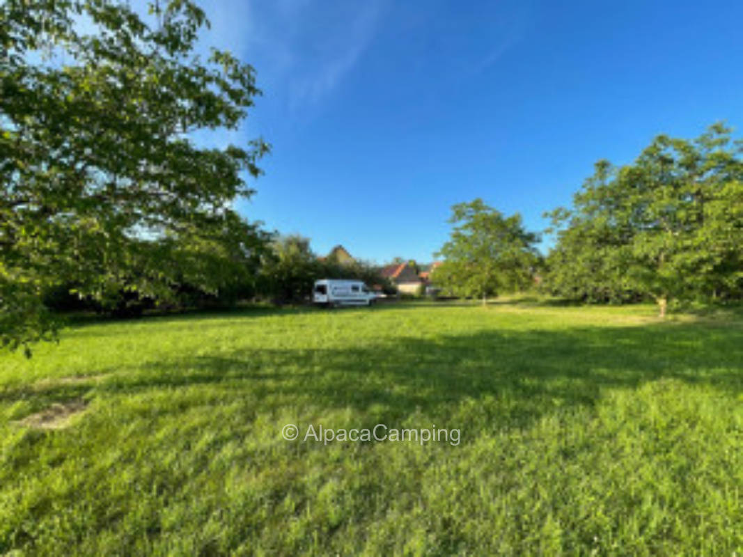 Gold piece in franc #3