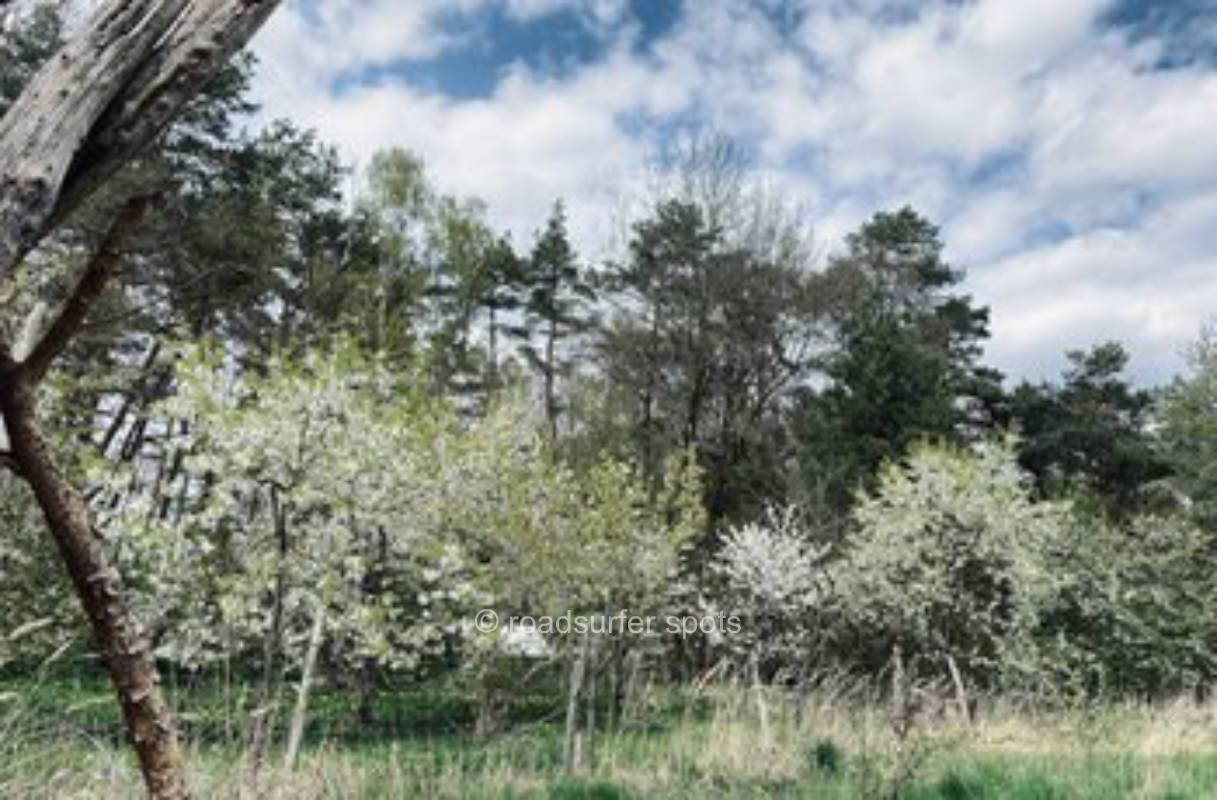 Wildromantisch zwischen Wald, Feld und Wiese