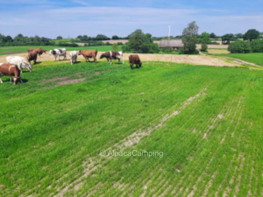 Weitblick mit maximaler Entspannung