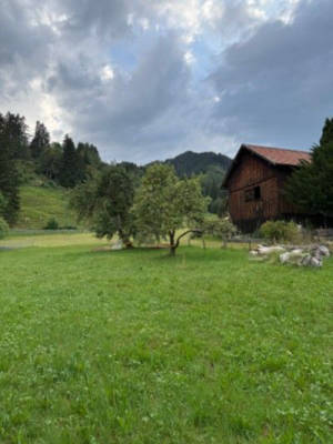 Pitch under the apple tree in the Allgäu