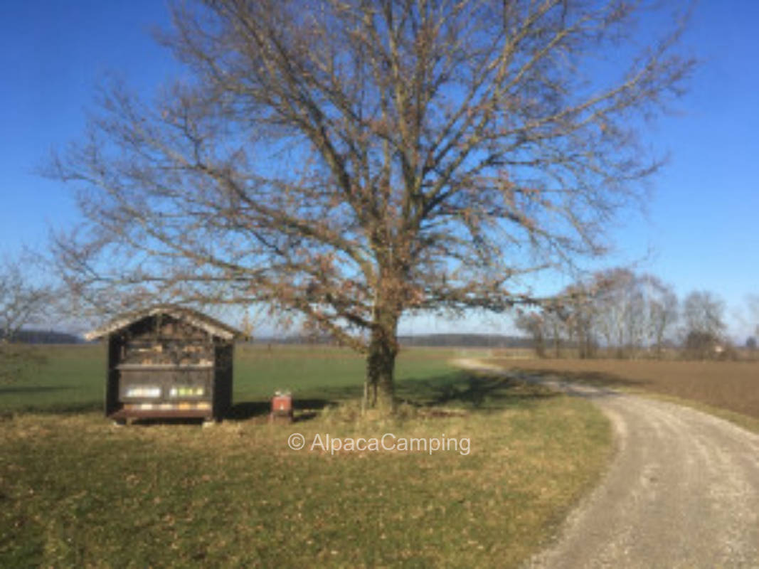 Am alten Bienenhaus unter der Eiche #1