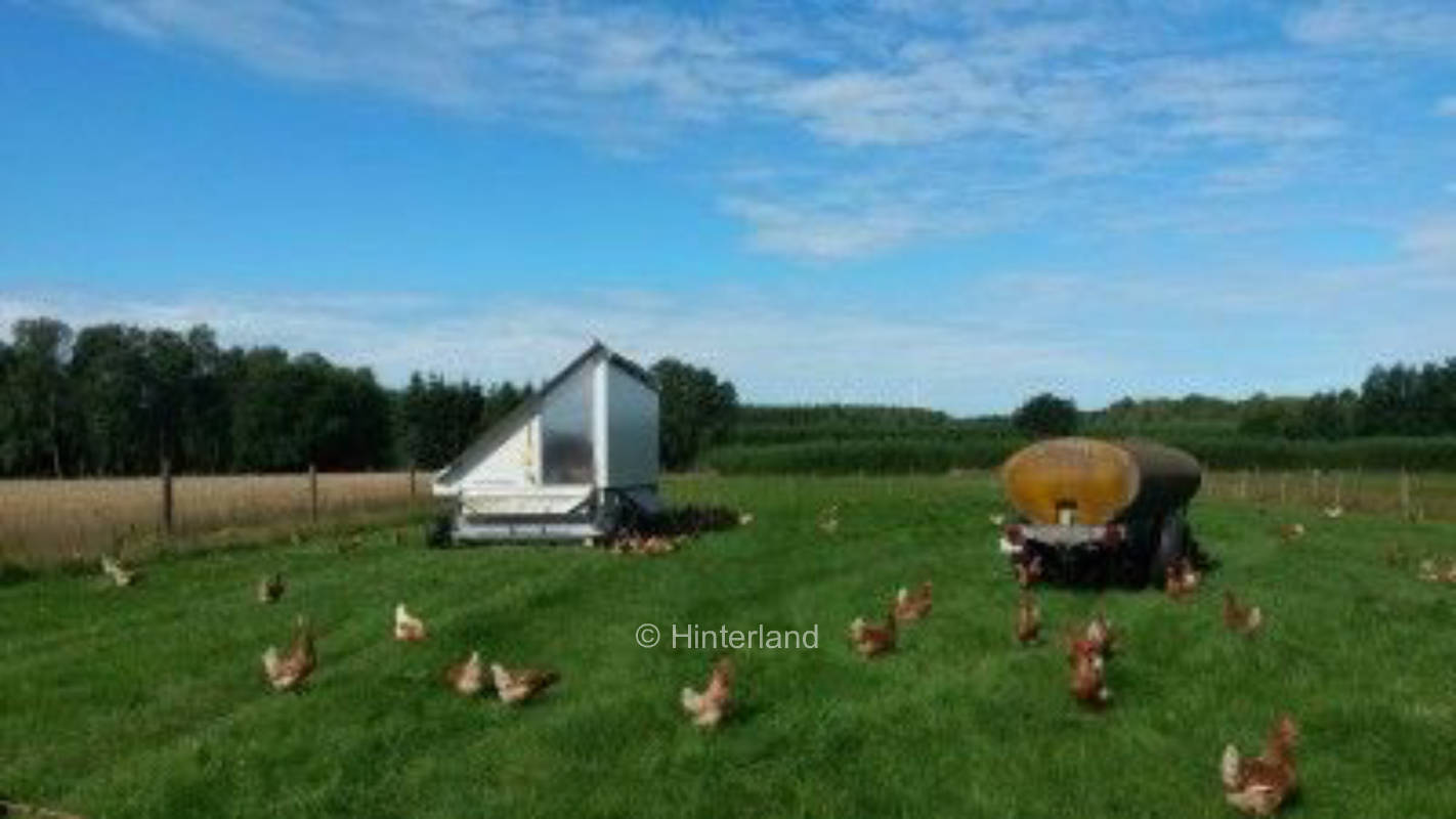Ruhige Stellplätze auf unserem schönen Bauernhof!