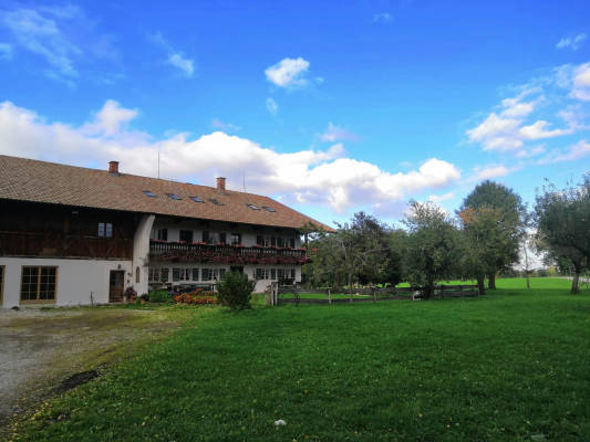 Beim holzmann