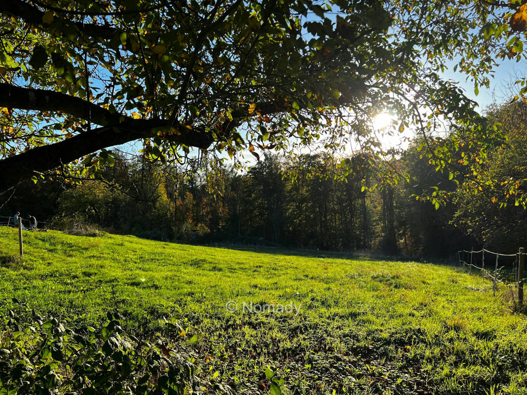 Abgelegene Senke am Walnussbaum