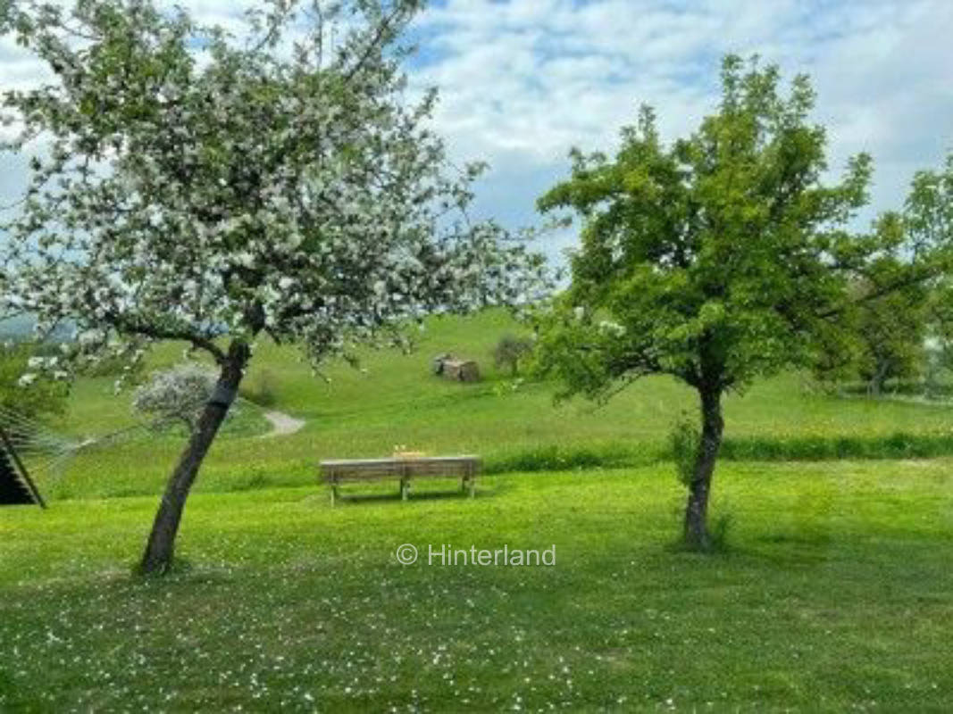 Geheimtipp in der Märcheneifel für Groß und Klein