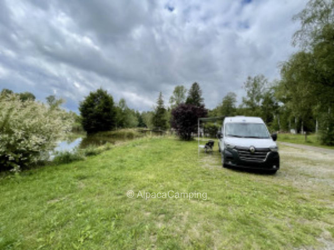 Wiesner's pond management #1