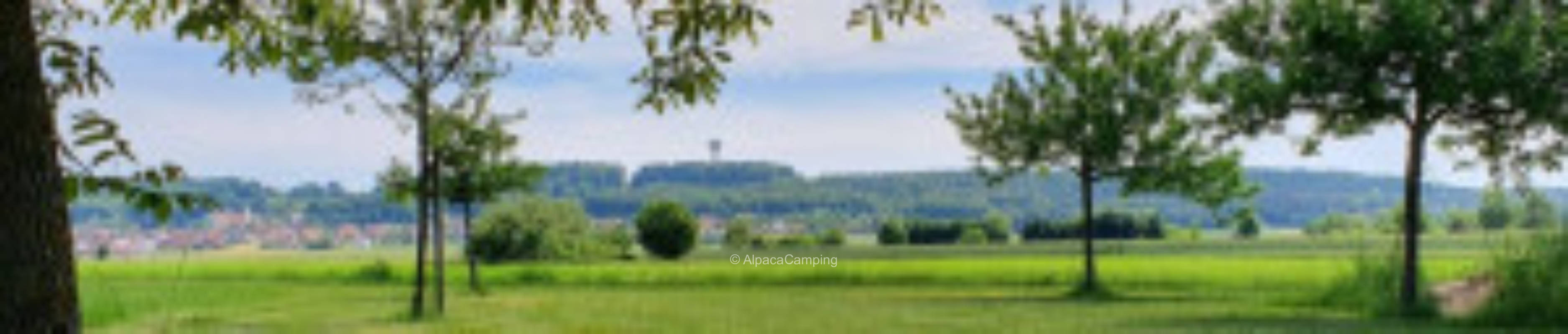 Natur, Wasser, Land(er)leben - Seenlandcamping #1