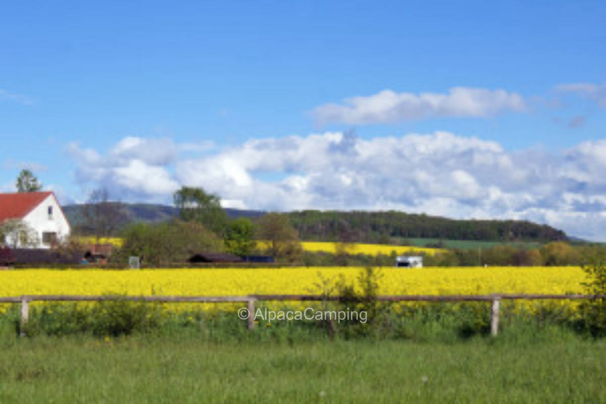 Time out Lindigshof #2