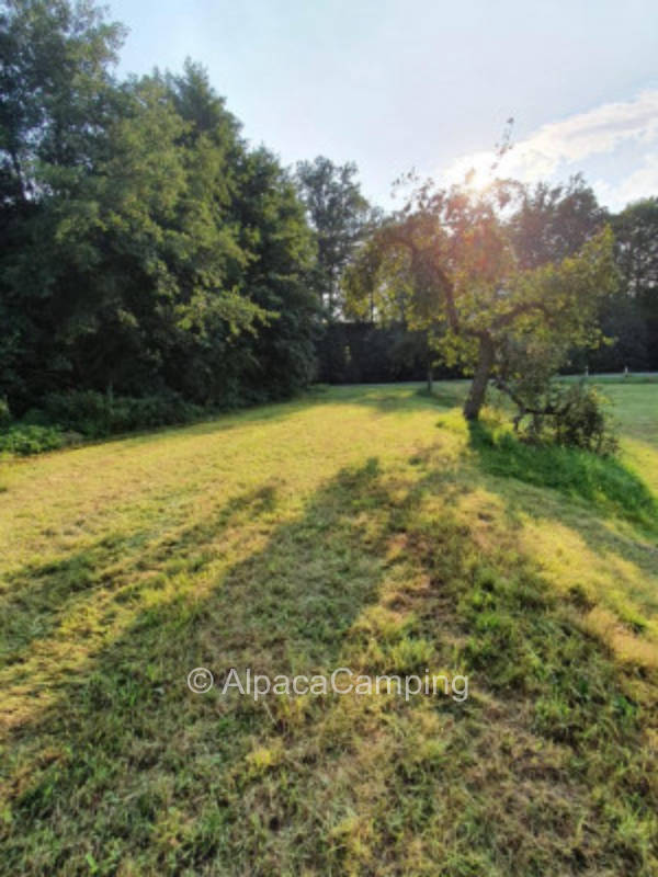 Pitch at the monastery wall #2