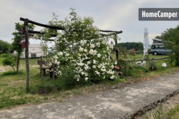 Platz für Zelt, Wohnwagen, Van, Wohnmobil (Campspace 13002)