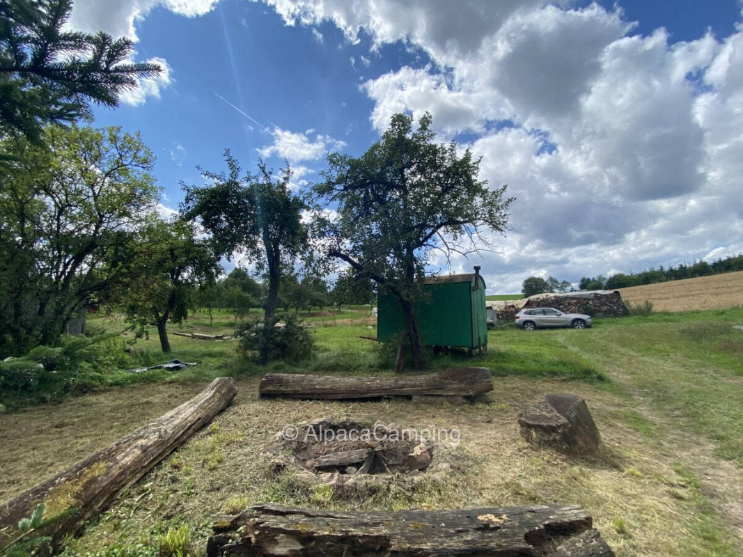 Cozy meadow in the yard #1