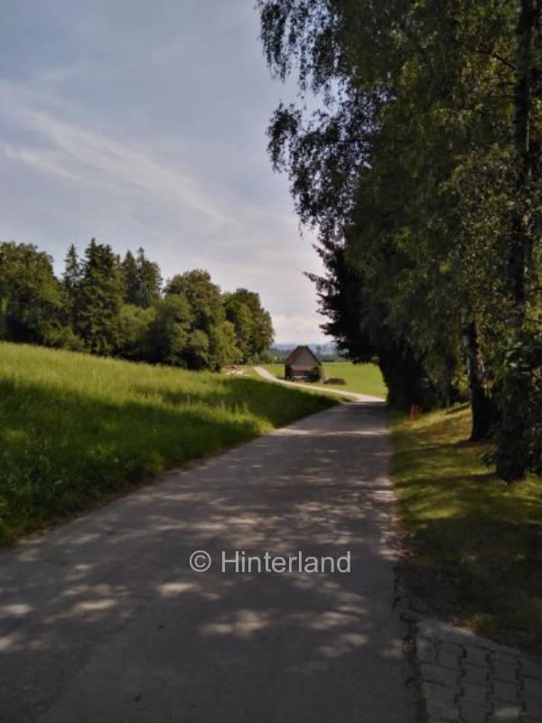 Idylle am Schorrenwald