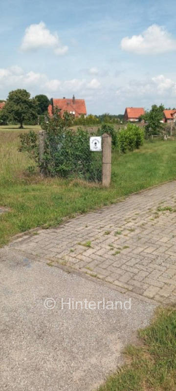 Sonnenbaden auf der Wiese, mit Hase und Elster 