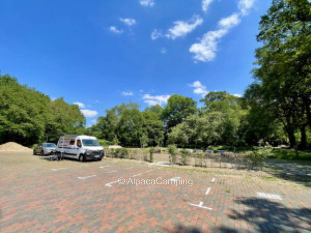 An der Streuobstwiese #3