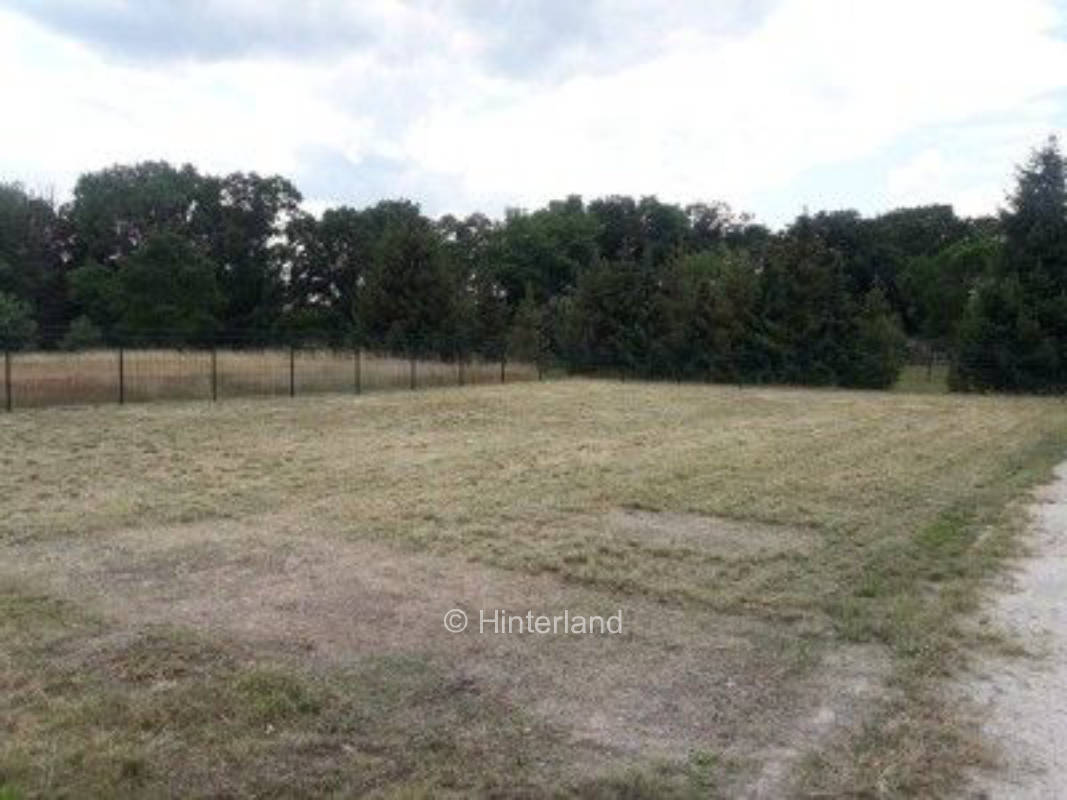 Stellplatz am Senftenberger See- 5 min. zum Strand