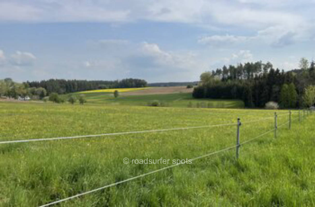 Pure nature - meadow with wonderful view