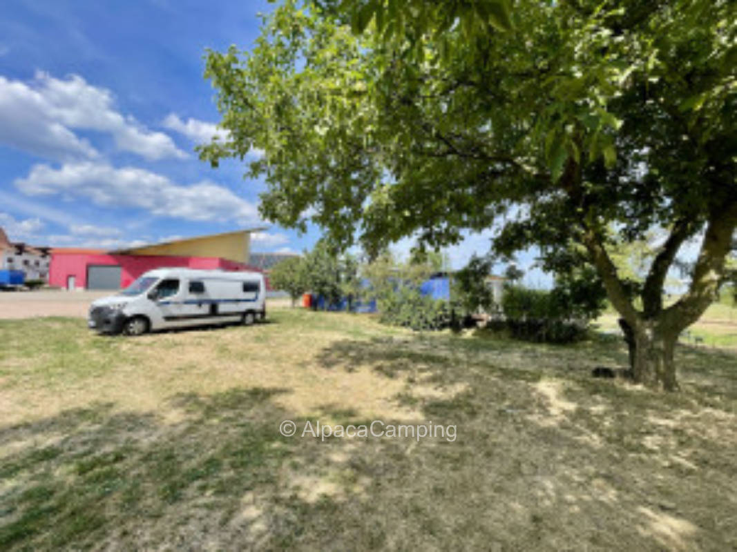 Relaxing at the winery #1