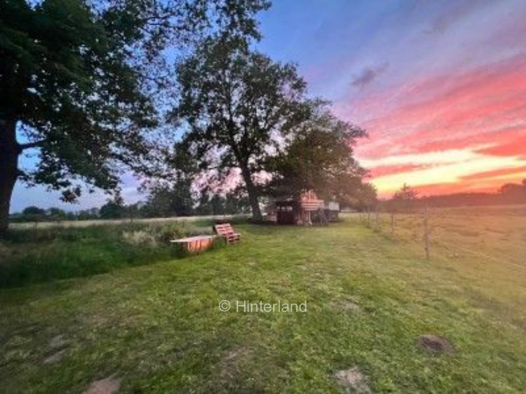 Pitch next to horses behind the house