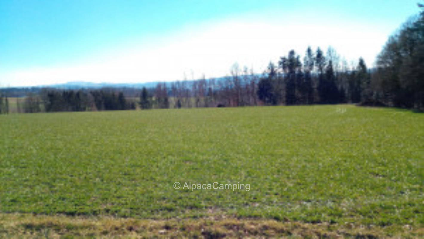 "A bed in the hemp field" #3