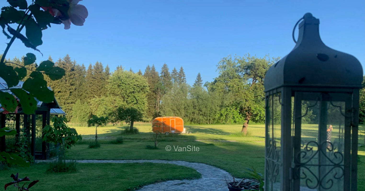 Meadow between fruit trees with forest view