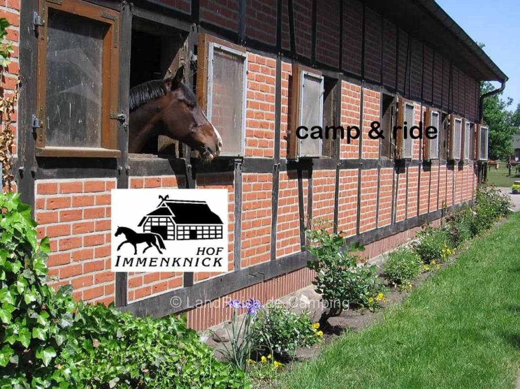 Hof Immenknick-Heide vacation on an idyllic riding stable
