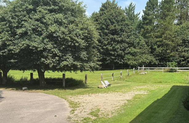 Stellplatz (Campspace 27150)