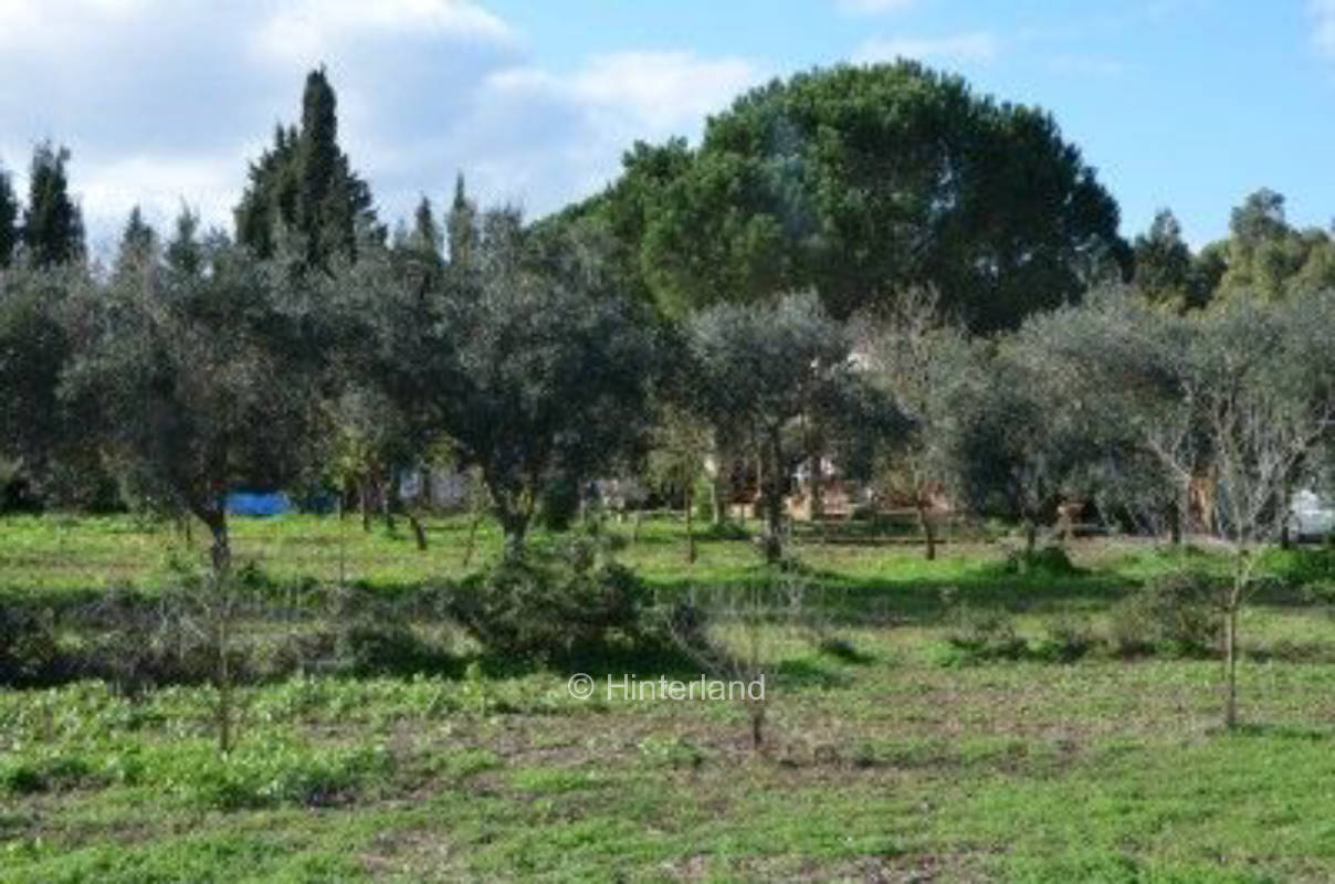 Ecovillaggio: Tenda e camper in campagna