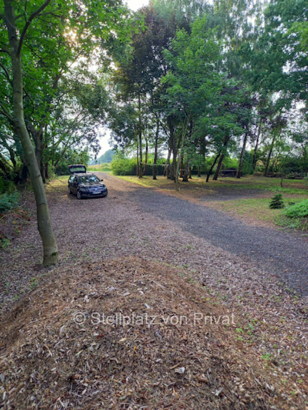 Forest pitch Strukdorf near Baltic Sea