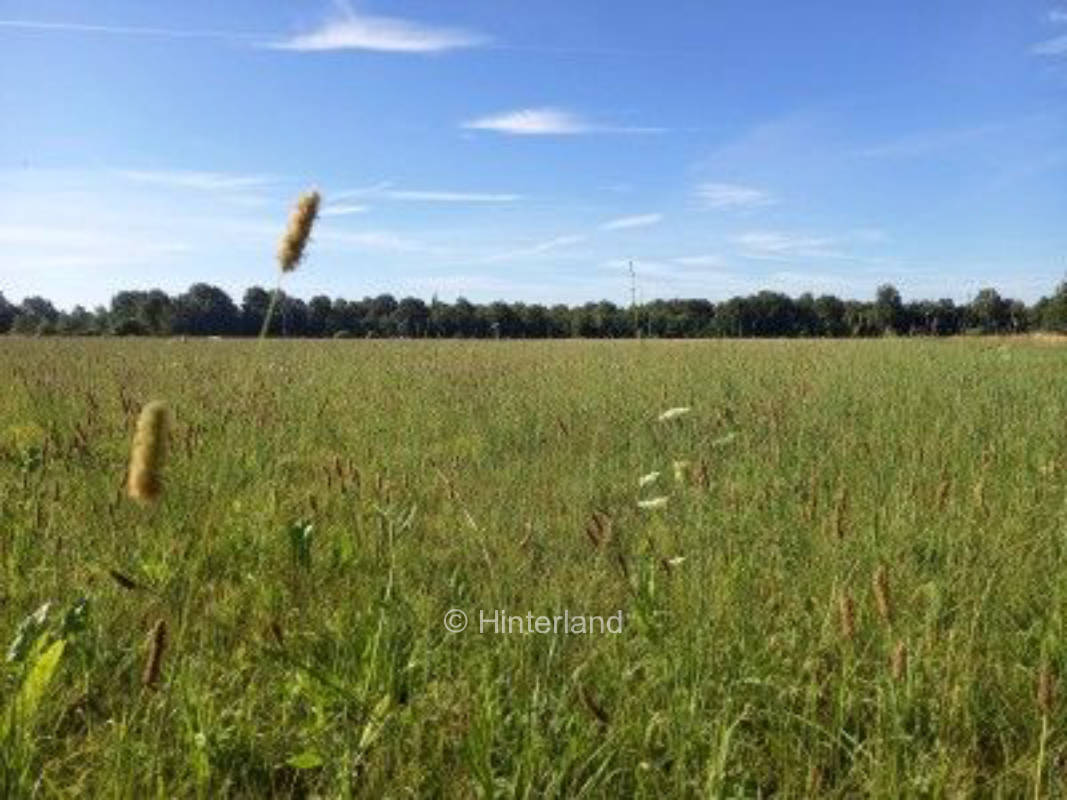 Idyllischer Platz am Naturschutzgebiet