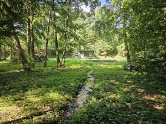 Idyllic spot in our meadow