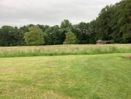 Osnabrücker Land: Meadow Pitch at the Forest Edge