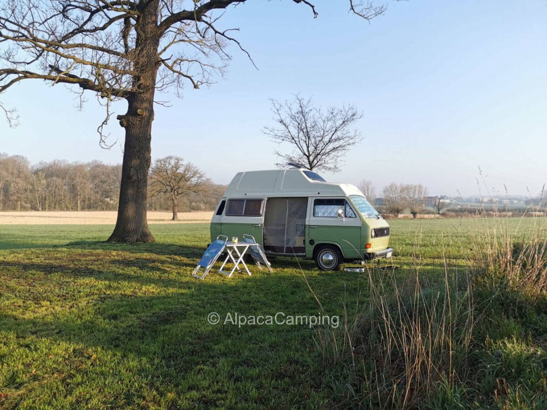 At group of trees surrounded by fields #1
