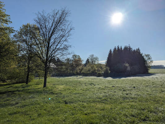 Quiet natural garden at the field's edge