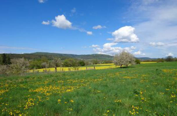 Camping an der Wiese bei Walberlas