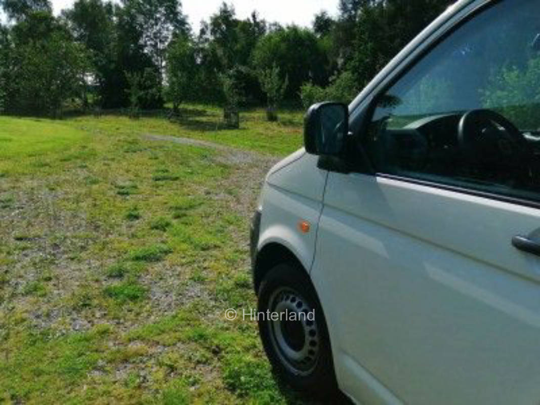 Pitch on the dairy sheep farm in the middle of greenery