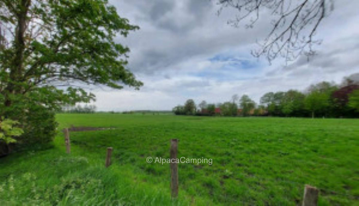 Am Gulfhof #2