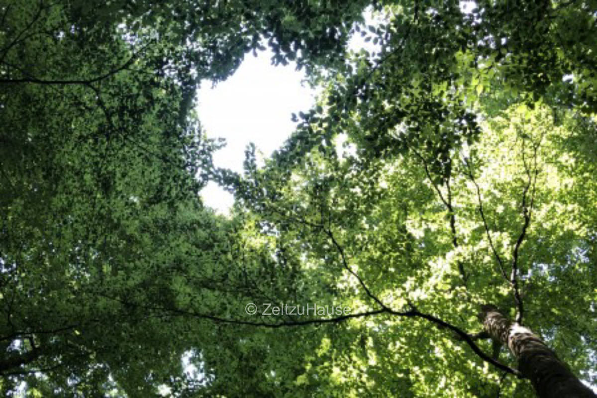 Entspannen in ruhiger Lage in familärer Atmosphäre