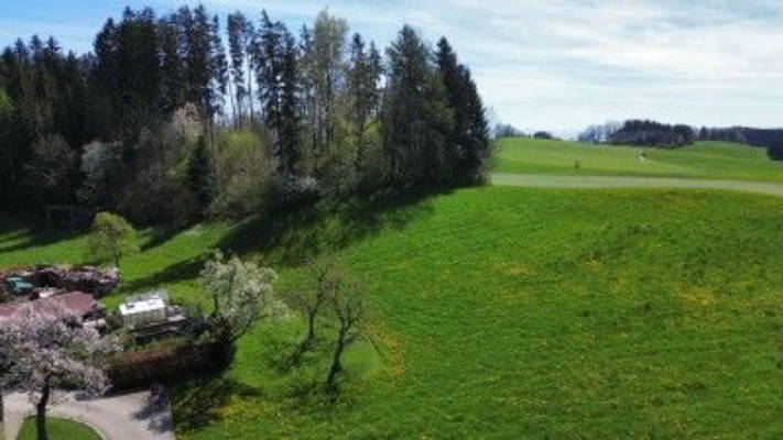 Secluded location in the orchard with forest and stream views