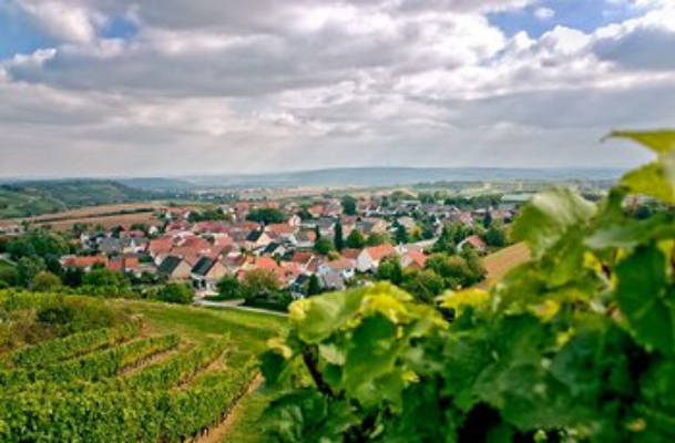 Camping am Weinkeller - Gut Philippshof