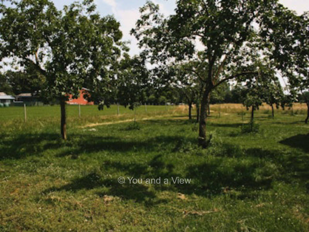 Geschken Hof - An den Quitten